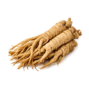 A-Man — ginseng siberiano (Eleutherococcus senticosus)